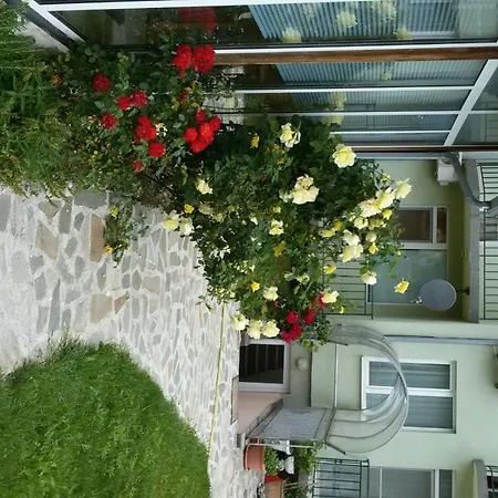 Apartments And Guest Rooms 