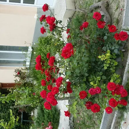 منتزه العطل Apartments And Guest Rooms 